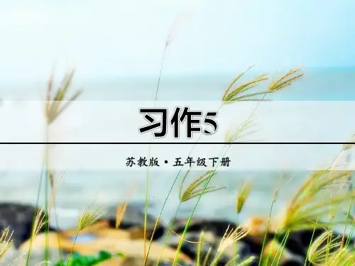 《课件》部编版苏教版五年级语文下册全套课件习作5