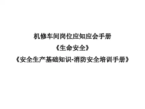 生命安全教育课件资料