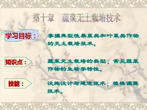 ppt课件-无土栽培