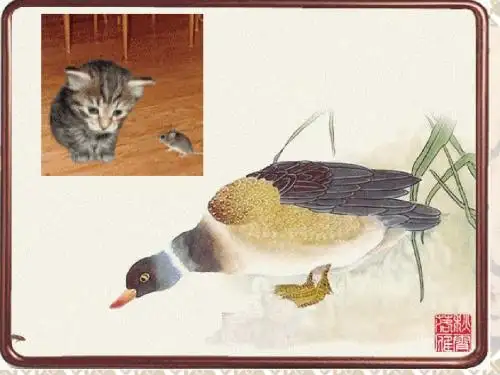 16消食药