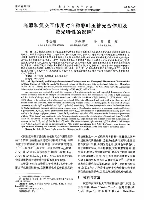 光照和氮交互作用对3种彩叶玉簪光合作用及荧光特性的影响