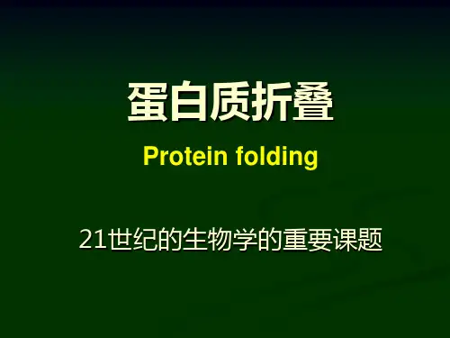 蛋白质折叠