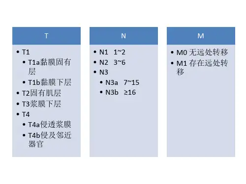 AJCC第七版胃癌TNM分期