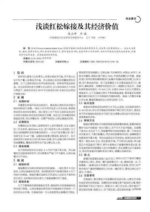 浅谈红松嫁接及其经济价值