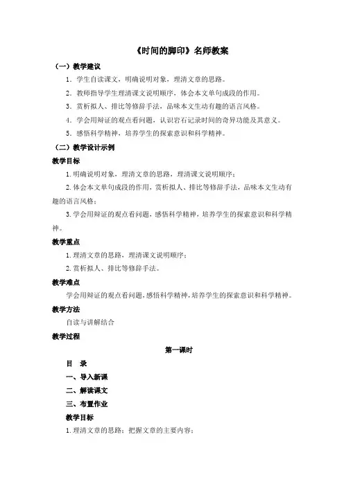 《时间的脚印》名师教案
