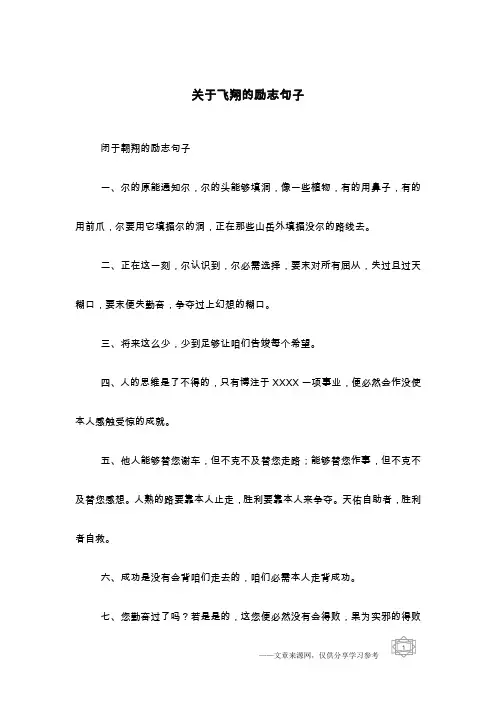 关于飞翔的励志句子