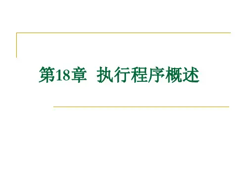 第十八章  执行程序概
