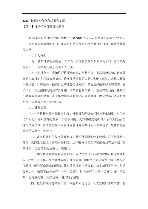 2020村级账务自查自纠报告3篇