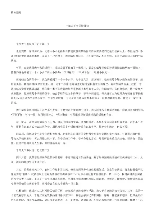 干部大下乡民情日记