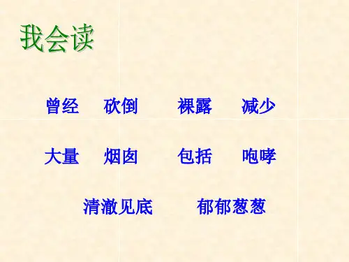 一个小山村的故事[精选文档]