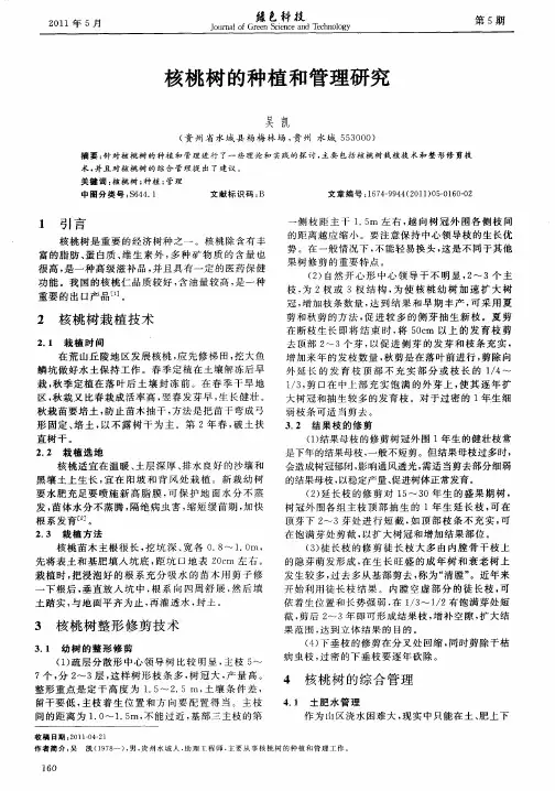 核桃树的种植和管理研究