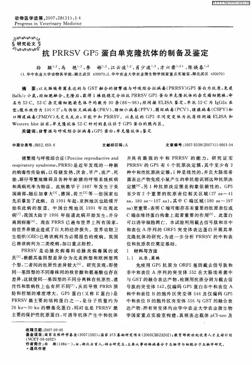 抗PRRSVGP5蛋白单克隆抗体的制备及鉴定
