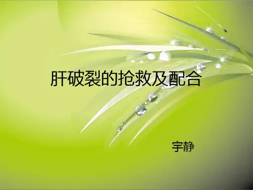 清爽绿色模版(4:3)-肝破裂的抢救和配合