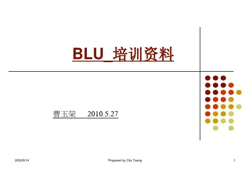 BLU_培训资料(CCFL)