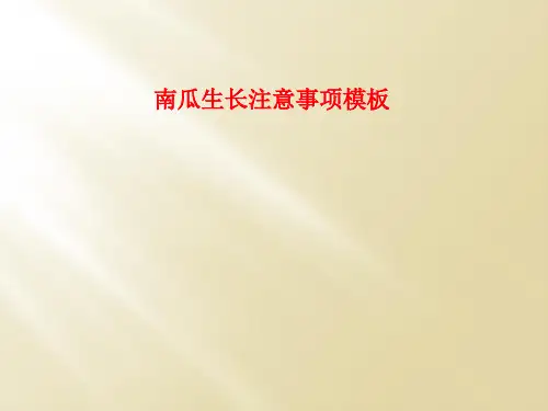 南瓜生长注意事项模板
