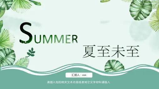 夏天PPT