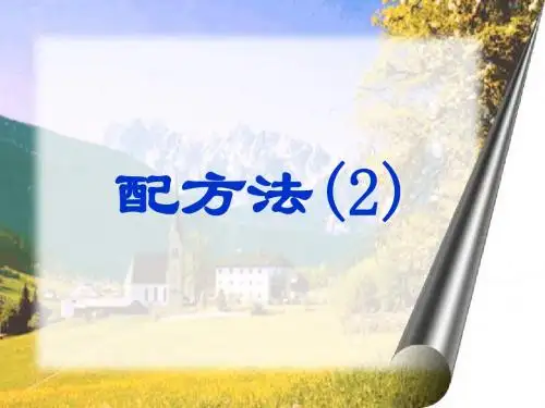 2配方法(2)