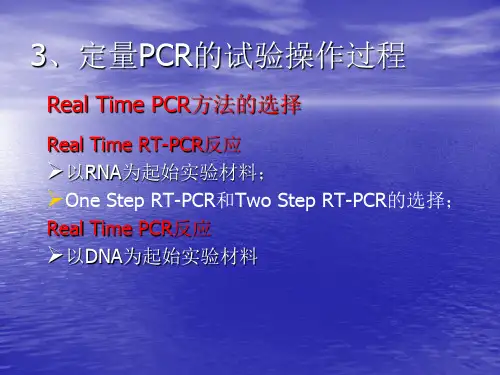 定量PCR步骤