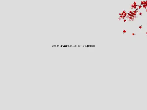 贵州电信96199真情联盟推广提案ppt课件