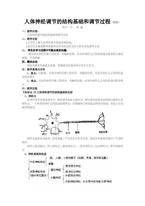 人体神经调节的结构基础及调节过程(教案)