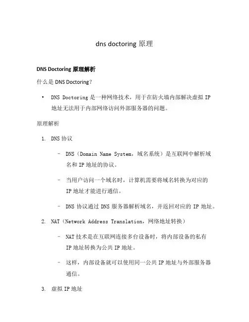 dns doctoring原理