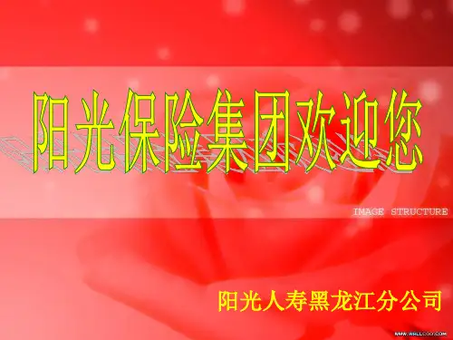 阳光人寿保险意义与功用