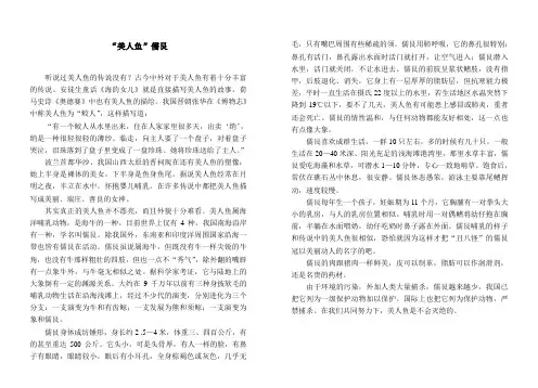 “美人鱼”儒艮