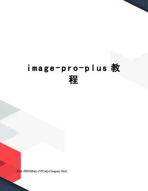 image-pro-plus教程