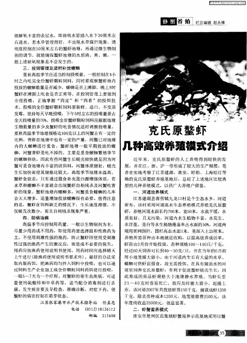克氏原螯虾几种高效养殖模式介绍