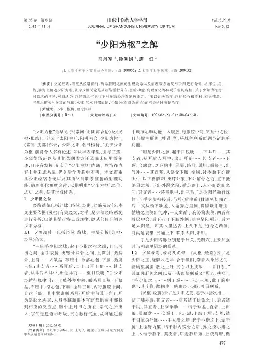 少阳为枢之解