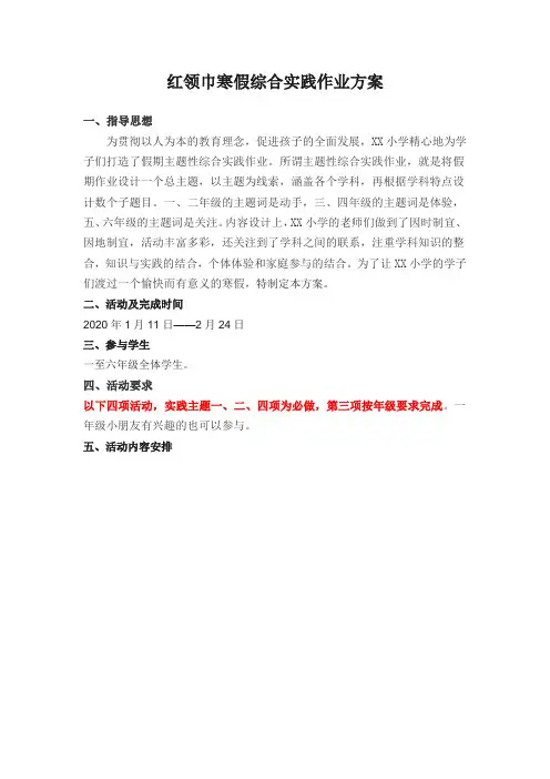 红领巾寒假综合实践作业方案