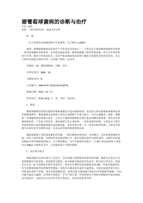猪葡萄球菌病的诊断与治疗