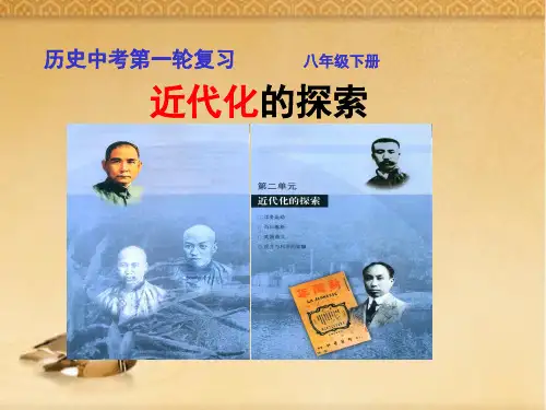 【新课标】2018最新版本初中中考历史复习课件：《近代化的探索》(专题拔高特训)