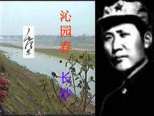 沁园春