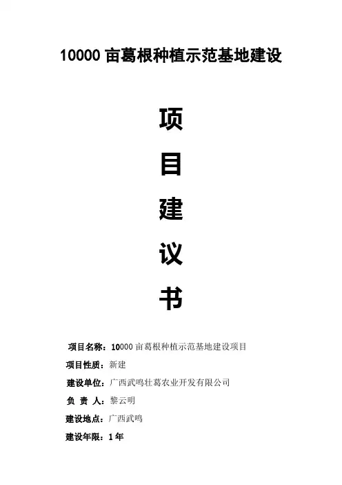 项目建议书 3