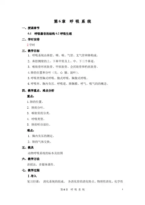 呼吸系统