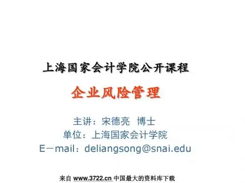 企业风险管理-财务版本(PPT 116页)