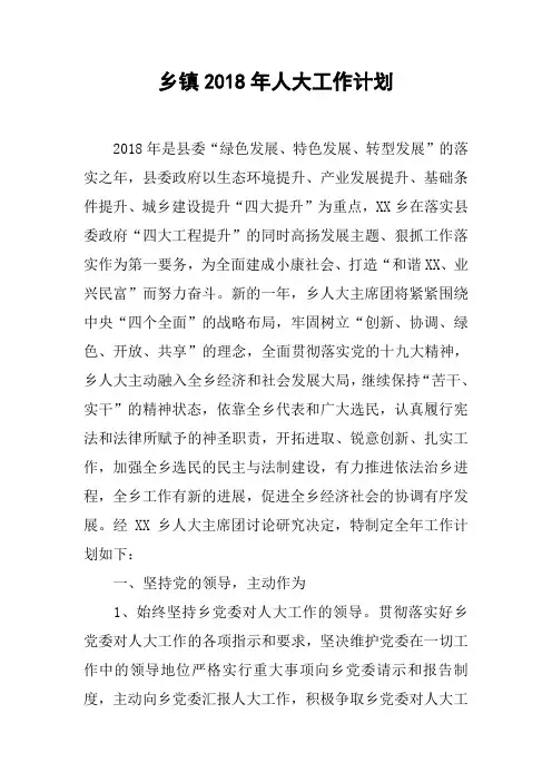 乡镇2018年人大工作计划