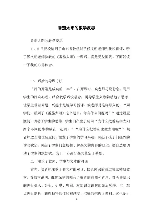 番茄太阳的教学反思
