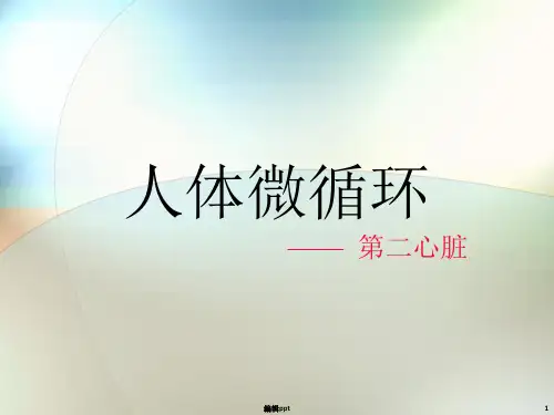 《人体微循环》PPT课件
