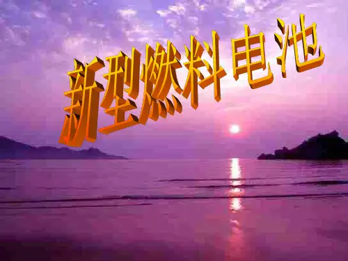 高三化学上学期燃料电池复习专题(2019年8月整理)