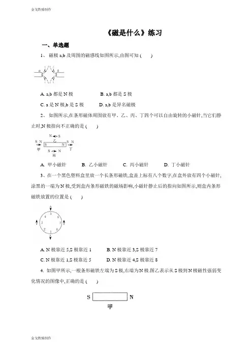 沪科版物理九年级试卷《磁是什么》练习