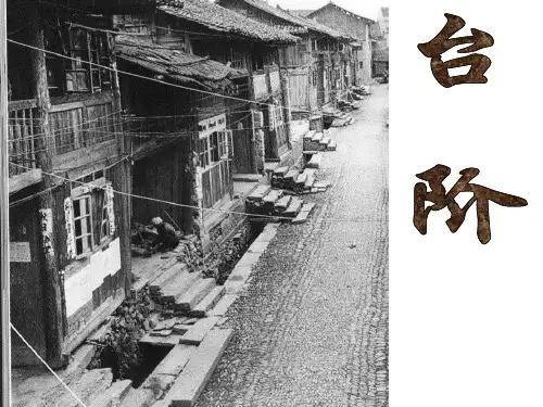 八年级上册第二单元第八课：《台阶》