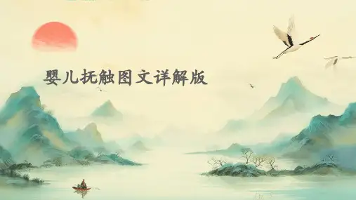 婴儿抚触图文详解版