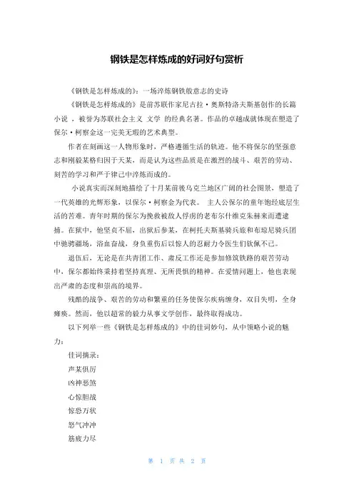 钢铁是怎样炼成的好词好句赏析