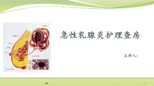 急性乳腺炎护理查房PPT课件