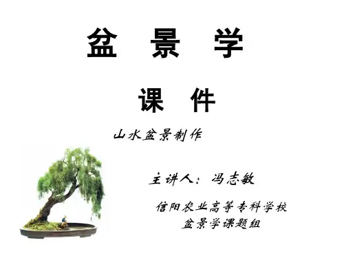 盆景学