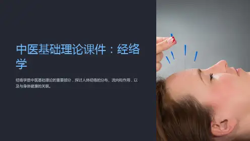 中医基础理论课件：经络学