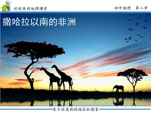 (人教版)地理《撒哈拉以南的非洲》实用PPT1