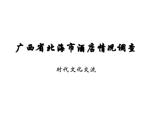 广西省北海市酒店情况调查资料讲解